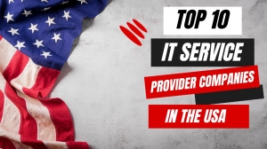 Top 10 IT service provider companies in the USA