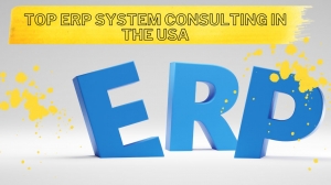 ERP System Consulting